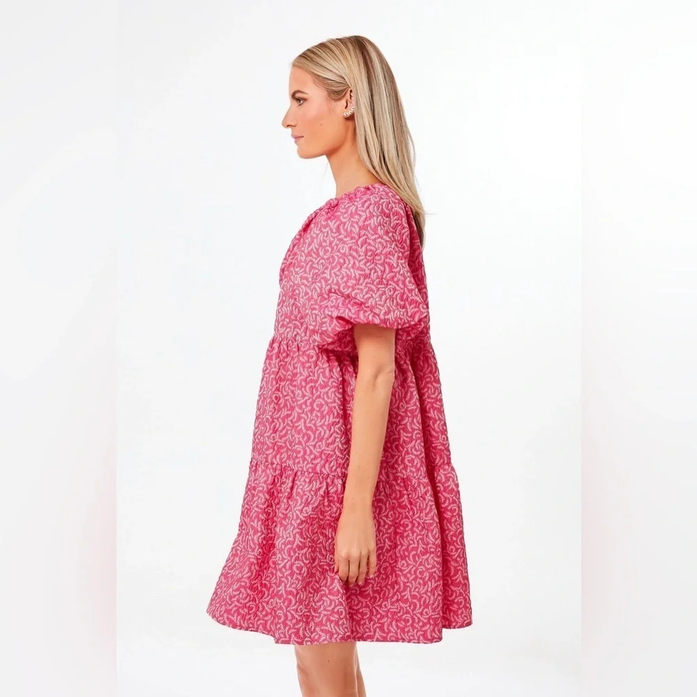 NWT Tuckernuck Hyacinth House Textured Pink Belinda Mini Dress sz L